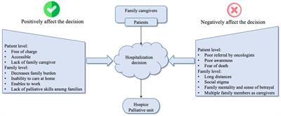 Improving palliative care outcomes in remote and rural areas of LMICs through family caregivers: lessons from Kazakhstan